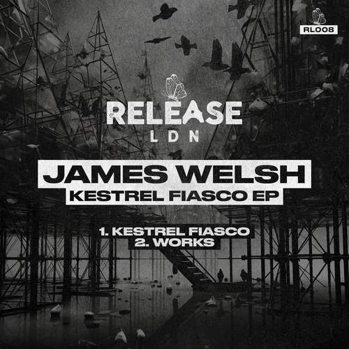James Welsh - Kestrel Fiasco [RL008]